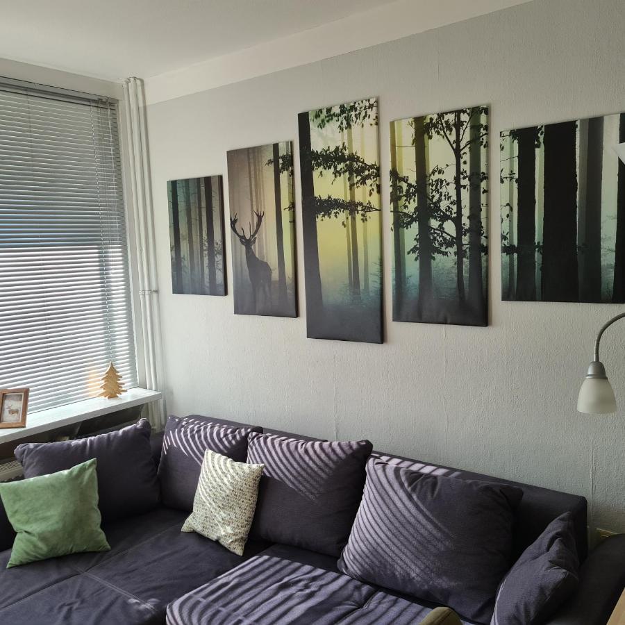 Appartement 7 101 Γκόσλαρ Εξωτερικό φωτογραφία