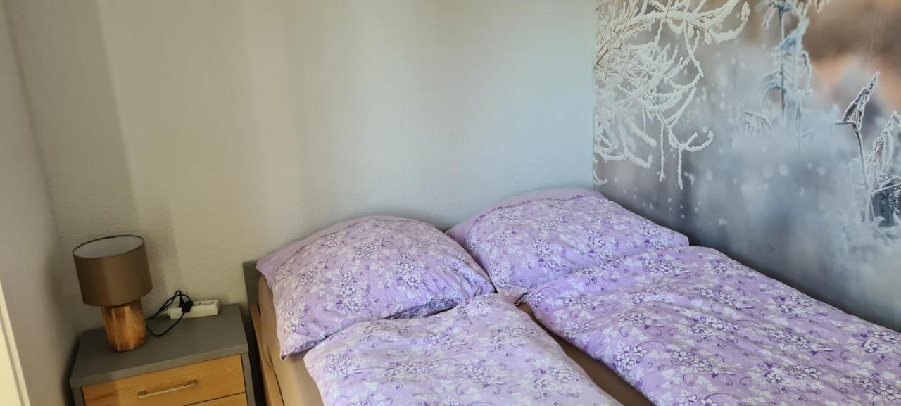 Appartement 7 101 Γκόσλαρ Εξωτερικό φωτογραφία